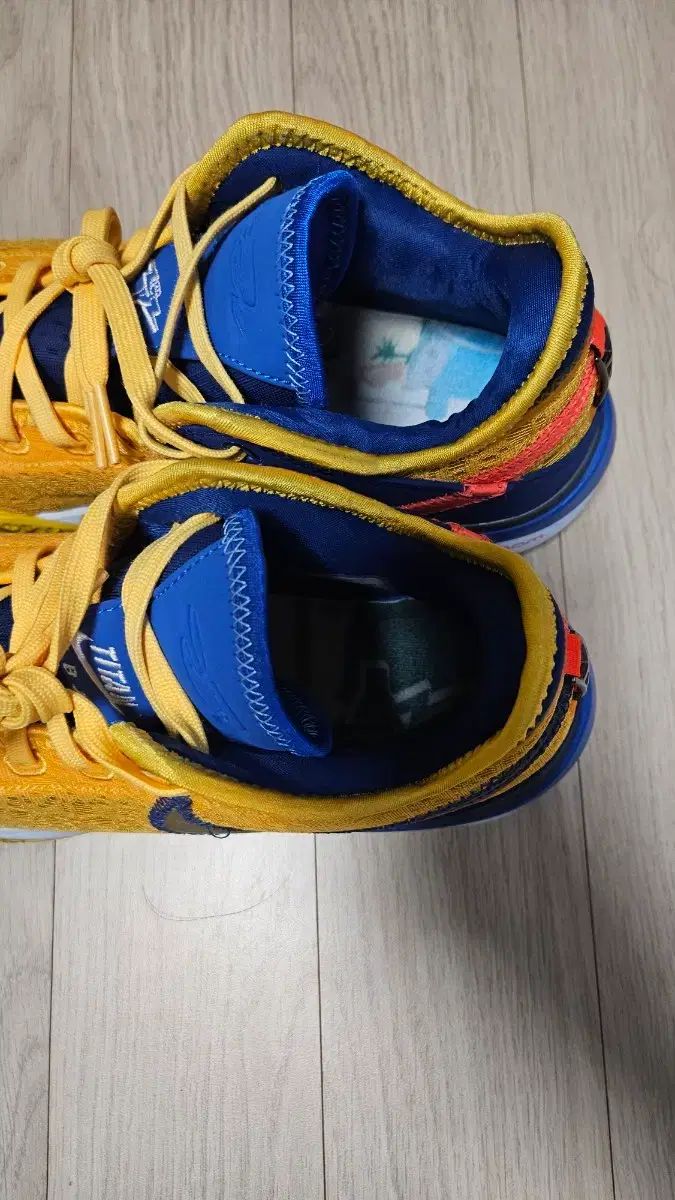 265 ナイキ レブロン 20 nxxt Titan バスケシューズ