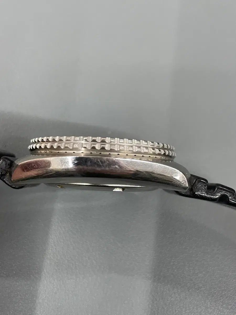 セイコー タートル