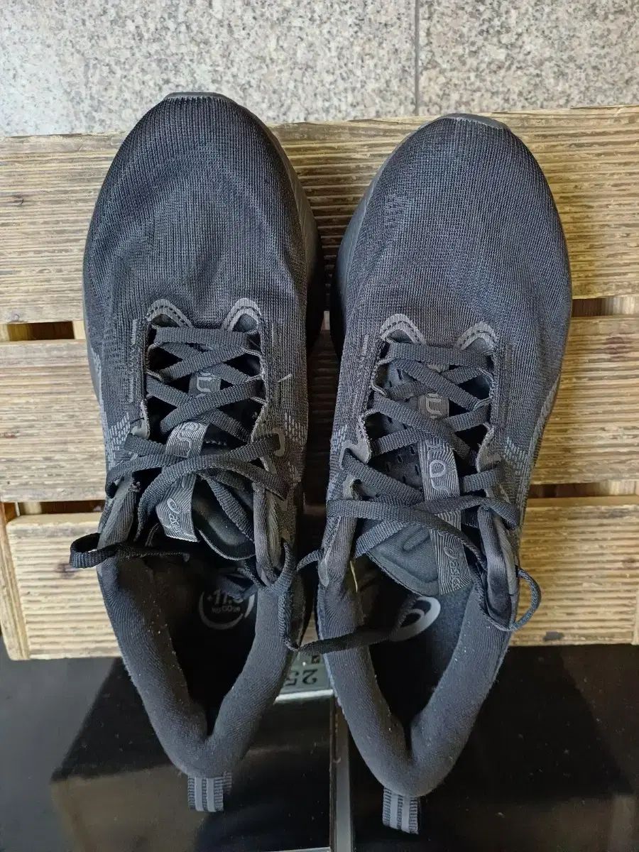 鑑月焼 藤本享秀作 壺 鳳凰 元箱あり 注文