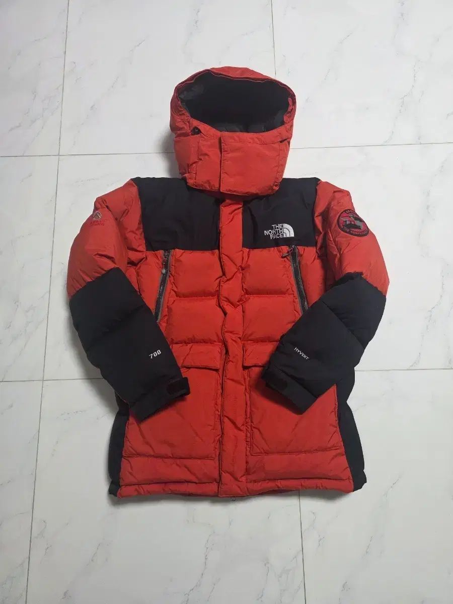 THE NORTH FACE ザノースフェイス アクスタ アスガルド ハイ 700フィル グースダウン 100