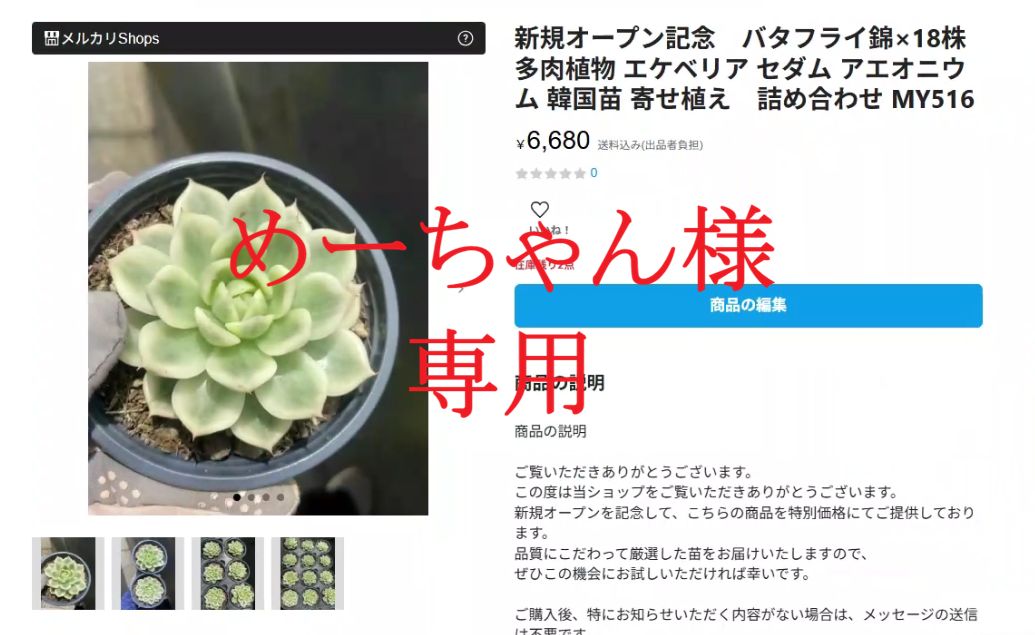 お得な9苗セット！cozさん・韓国苗　札付き・メルカリ便発送！ お得な9苗セット！cozさん・韓国苗 札付き・メルカリ便発送！ 2025