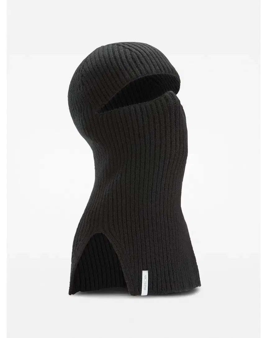 ARC TERYX アークテリクス 르메 LEMAE クラバ