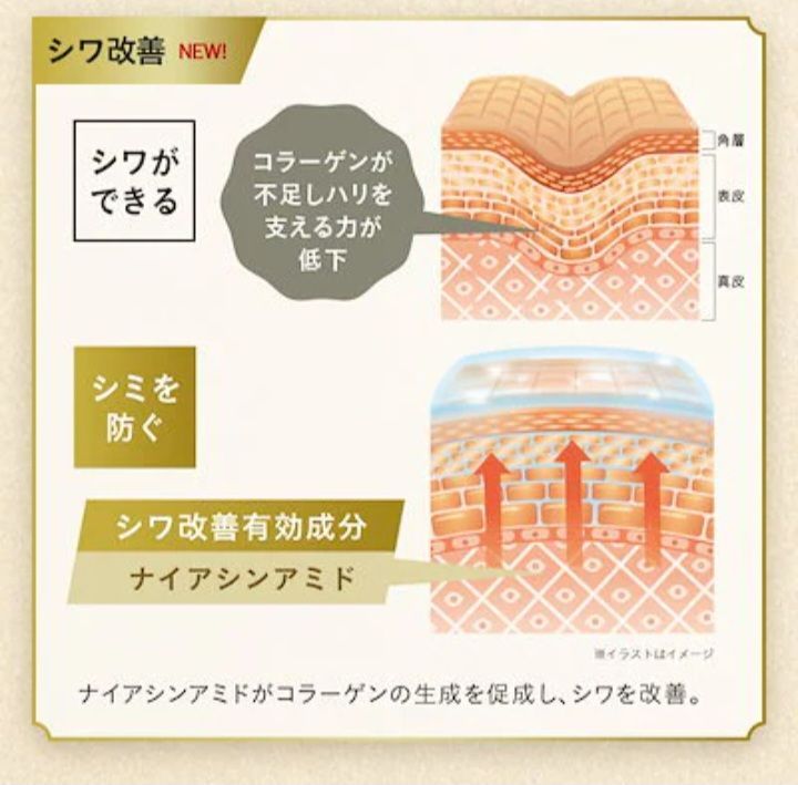 BLEND マスターズブレンド