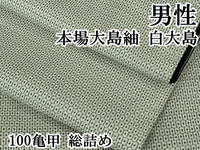 ● 上 男性 本場大島紬 白大島 100亀甲 総詰め kh 6