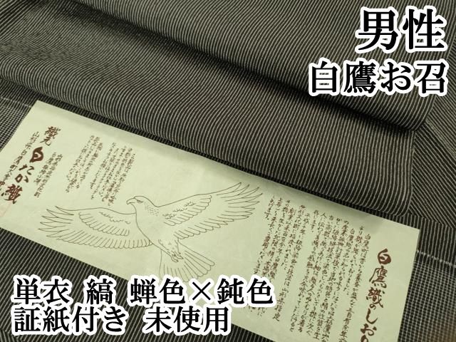 上 男性 白鷹お召 単衣 縞 蝉色×鈍色 証紙付き kh 6
