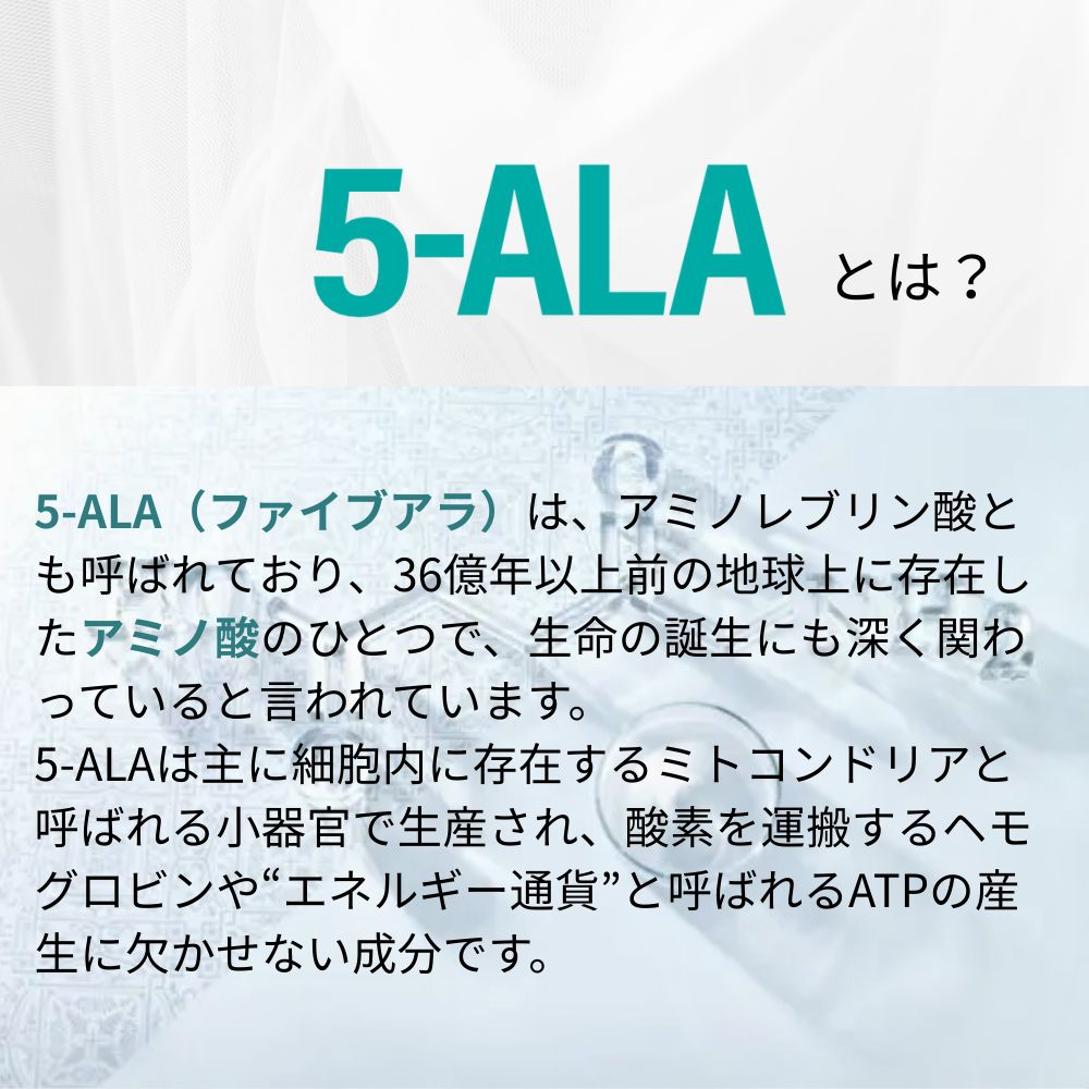セット 5-ALA ファイブアラ 60カプセル 60日分 ネオファーマジャパン 現キヤンファーマ 50 mg 5 ALA 袋井工場生産 サプリ サプリメント アミノ酸 アミノレブリン酸 ミトコンドリア
