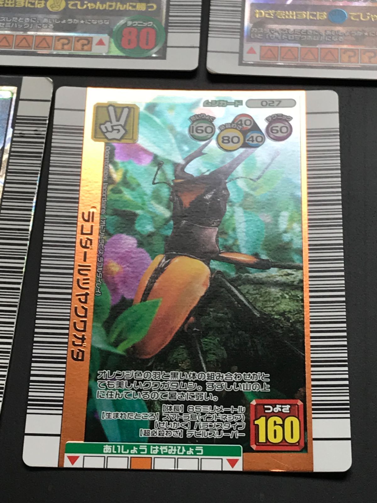 甲虫王者ムシキング グランディスオオクワガタ・ラコダールツヤ