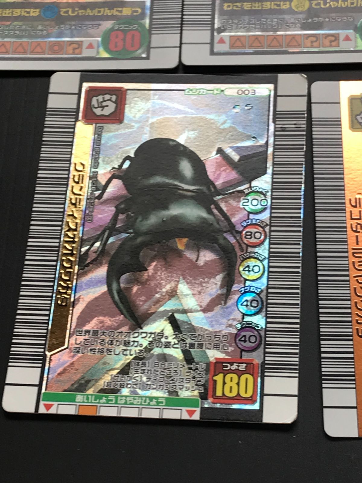 甲虫王者ムシキング グランディスオオクワガタ・ラコダールツヤ