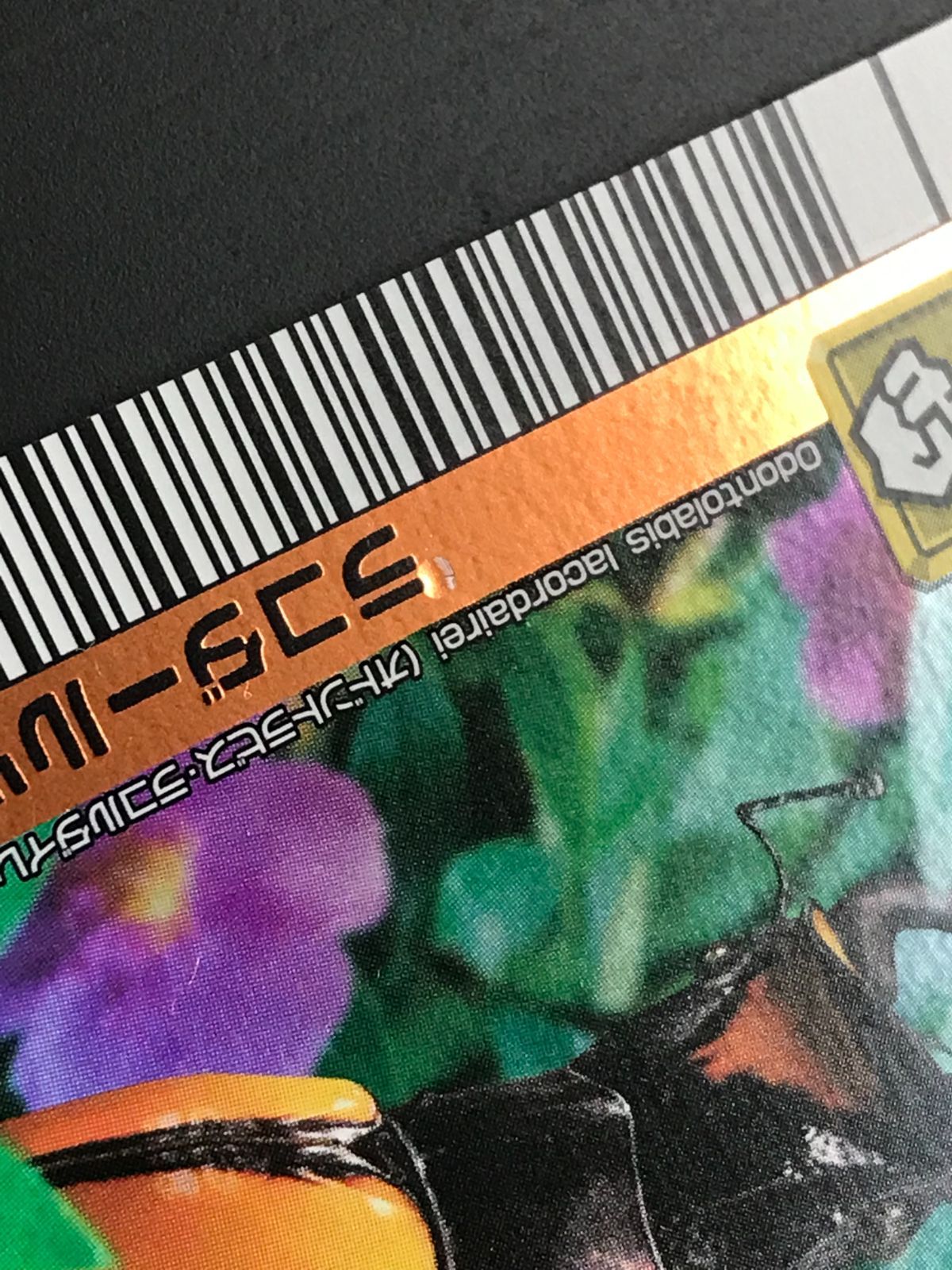 甲虫王者ムシキング グランディスオオクワガタ・ラコダールツヤ