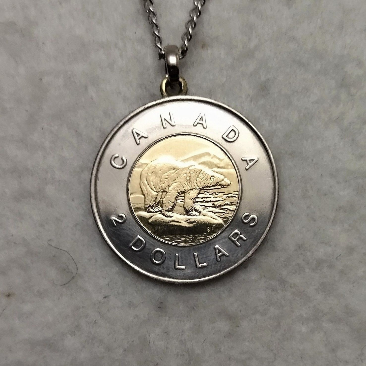 シロクマ　カナダのコインネックレス　着けっ放しOK