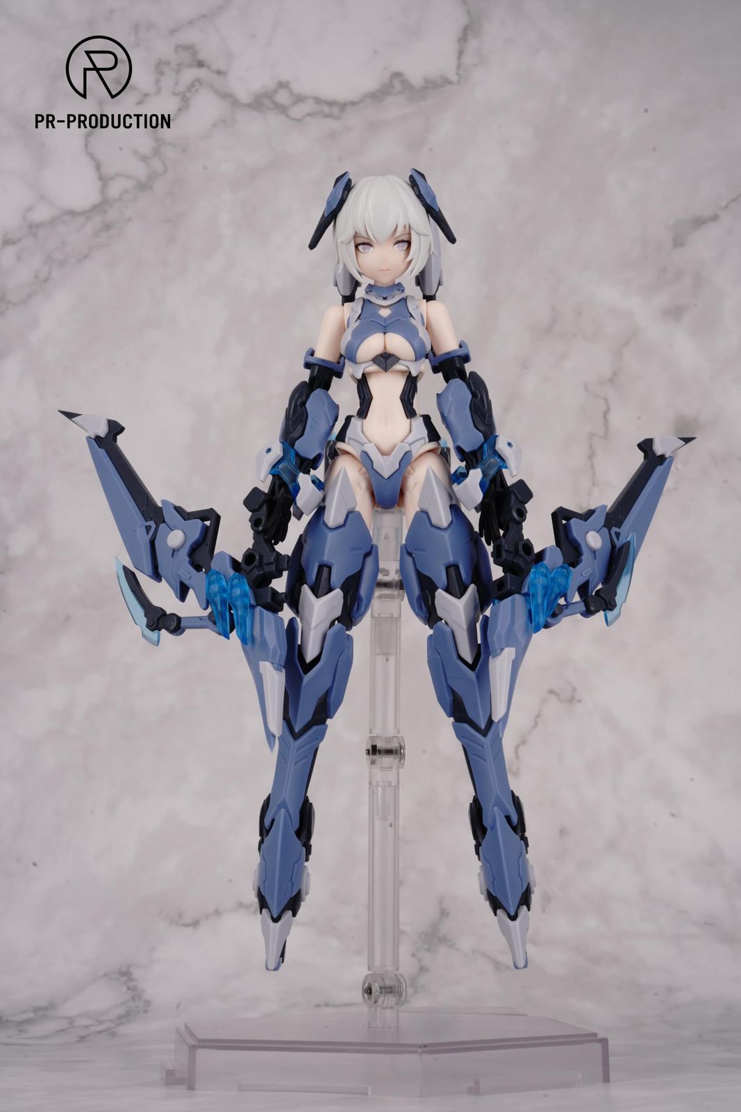 PR PROJECT 狩 漣 1 10スケール ABS製 プラスチックモデルキット