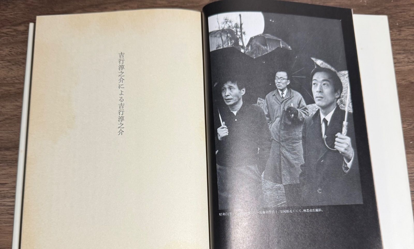 初版 吉行淳之介による吉行淳之介 吉行淳之介/著 青銅社発行 - メルカリ
