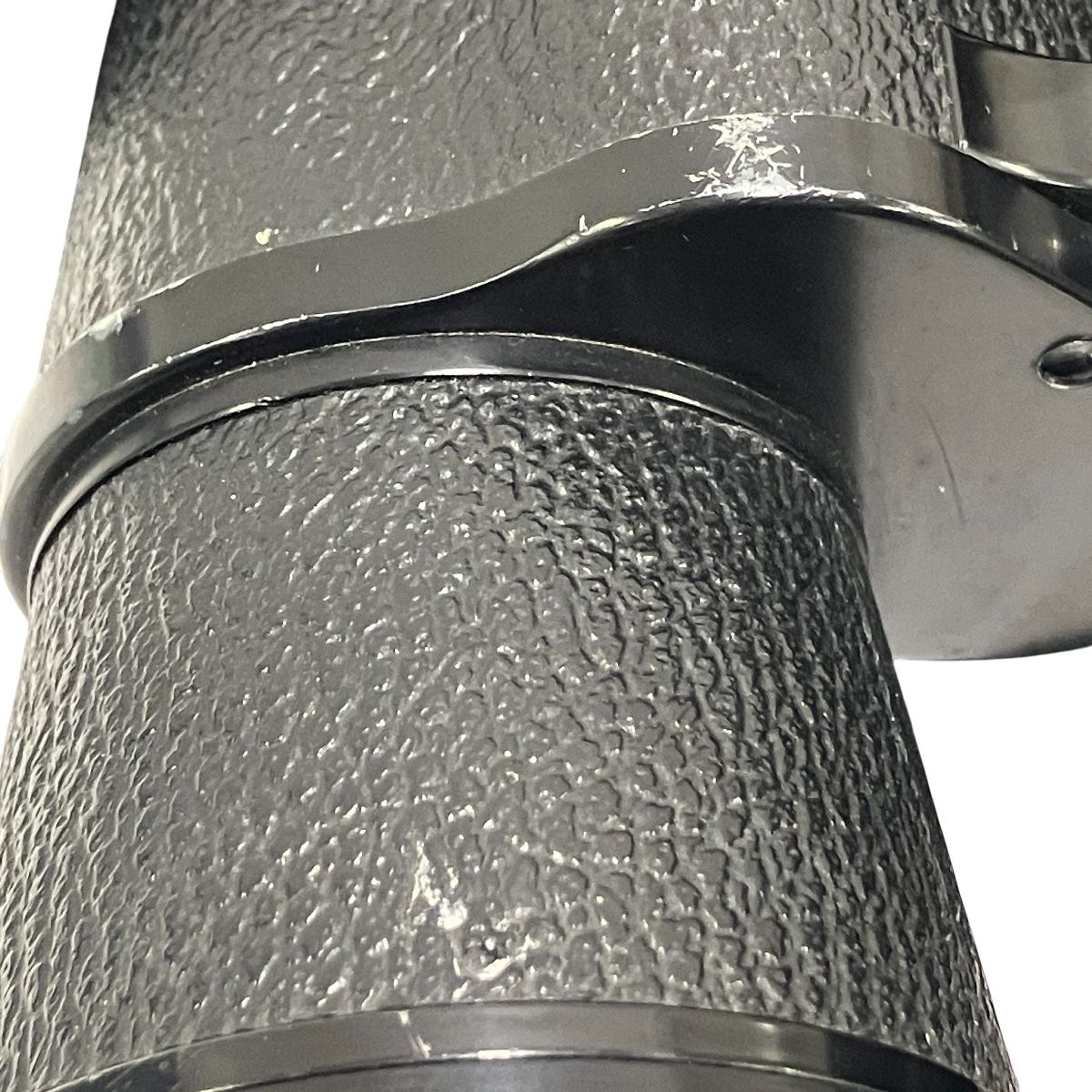 バードウォッチング 自然観察