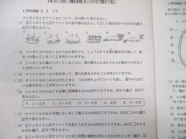 浜学園 小6 最高レベル特訓 理科 風の巻/林の巻/火の巻/山の巻 通年