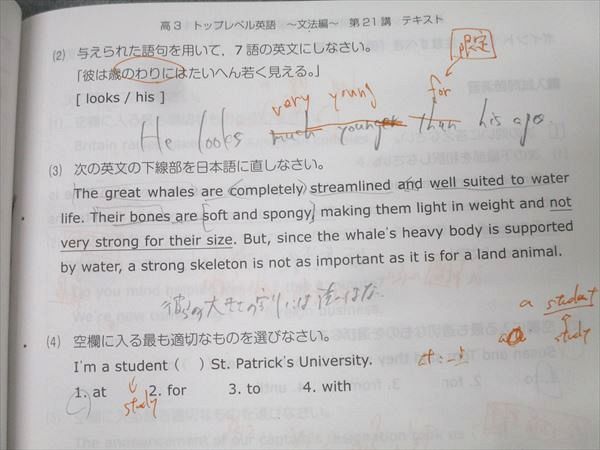 スタディサプリ 高3 トップレベル 英語＜文法編＞ 後編 テキスト 2021