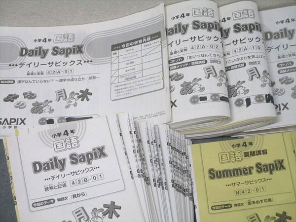 SAPIX 小学4年 サマー/デイリーサピックス 42A/42B 計84回分セット