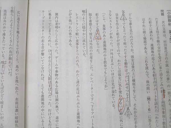 駿台 国語 センター現代文パーフェクトレクチャー テキスト 2018 中野