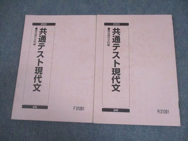駿台 共通テスト現代文 テキスト通年セット 2023 計2冊 018S0B - メルカリ