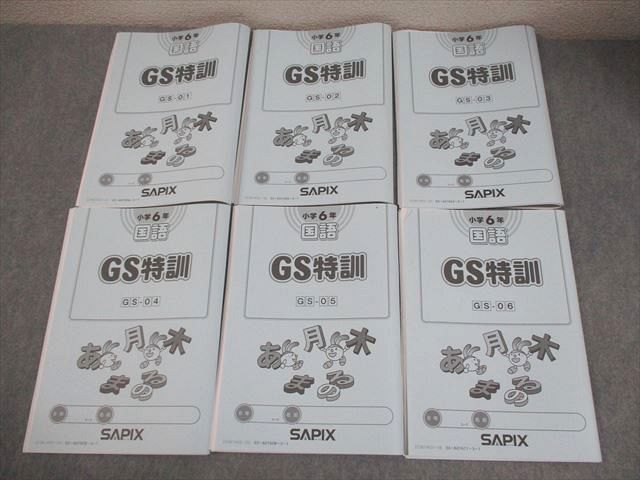 SAPIX サピックス 小6 国語 GS特訓 GS-01～06 2023年度版 通年セット