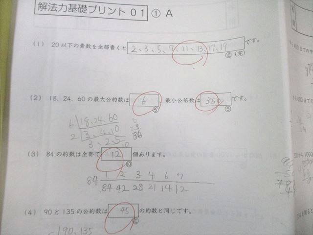 SAPIX SS特訓 小6 算数 サンデーサピックス 解法力01〜14 全14回