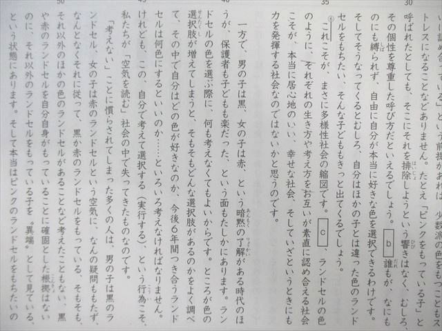未使用！SS特訓　灘　国語全14回 SAPIX サピックス SS特訓 志望校別入試攻略プリント 国語 【全14回分