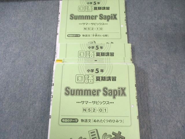 SAPIX 小5 サピックス デイリー/サマー 国語 【計73回分】 2022