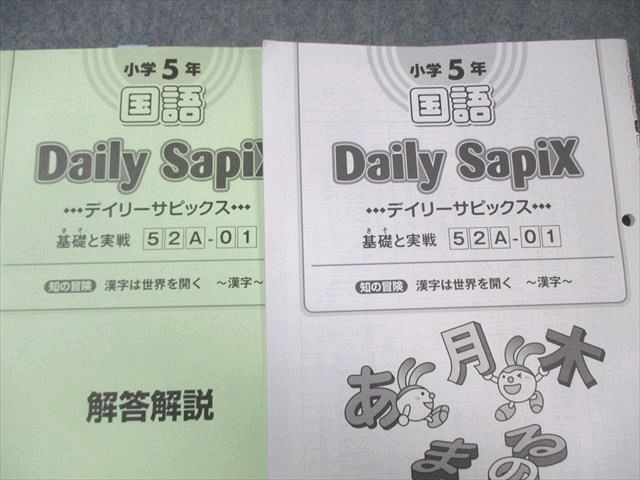 SAPIX 小5 サピックス デイリー/サマー 国語 【計73回分】 2022