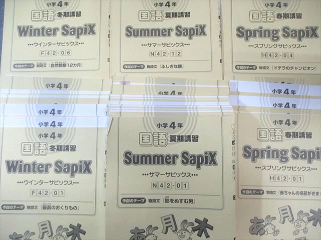 SAPIX 小4 サピックス デイリー/スプリング/サマー/ウインター/プレ