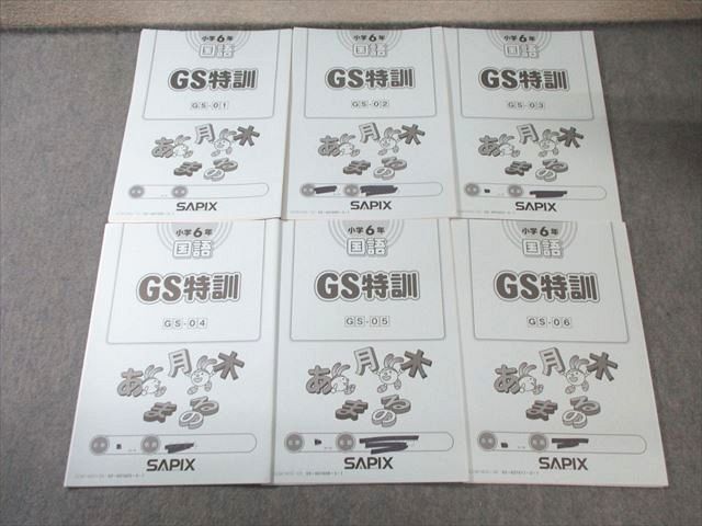 SAPIX 小6 サピックス GS特訓 国語 【計6回分】 通年セット 2023 025S2D SAPIX サピックス 小6 小4～6年 国語(GSー01～06) 計