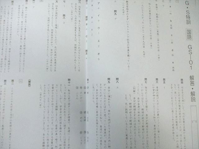 SAPIX 小6 サピックス GS特訓 国語 【計6回分】 通年セット 2023 025S2D SAPIX サピックス 小6 小4～6年 国語(GSー01～06) 計