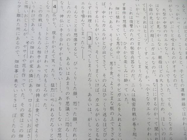 SAPIX 小6 サピックス GS特訓 国語 【計6回分】 通年セット 2023 025S2D SAPIX サピックス 小6 小4～6年 国語(GSー01～06) 計