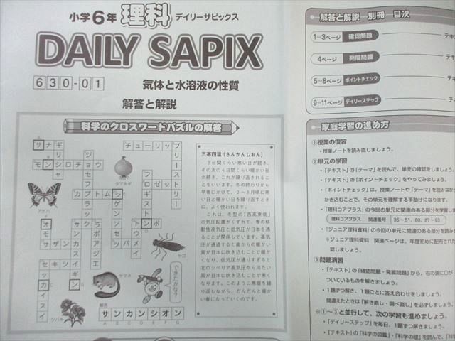 Spring様 デイリーサピックス 310-01-09 他 小学3年 2021年度