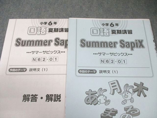 SAPIX 小6 サピックス デイリー/スプリング/サマー 国語 【計53回分