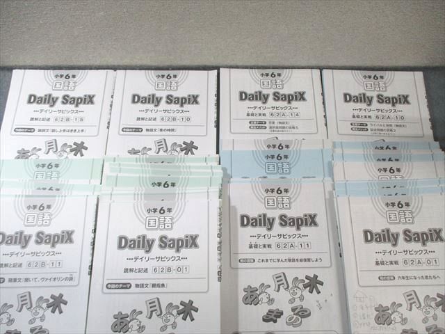SAPIX 小6 サピックス デイリー/スプリング/サマー 国語 【計53回分