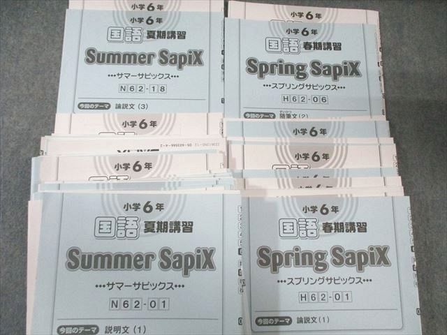 SAPIX 小6 サピックス デイリー/スプリング/サマー 国語 【計53回分 SAPIX 小6 サピックス デイリー/スプリング/サマー 国語 【計53回分