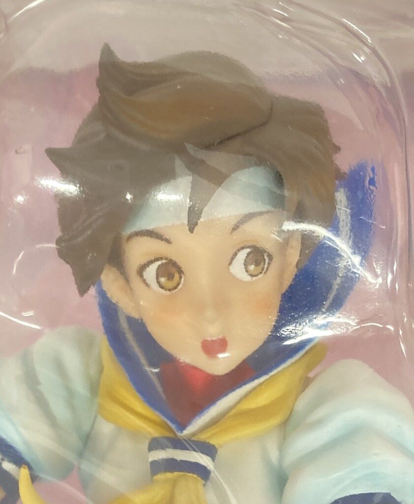 Max Factory 西村キヌコレクション GIRL-FIGHTING STREET FIGHTER