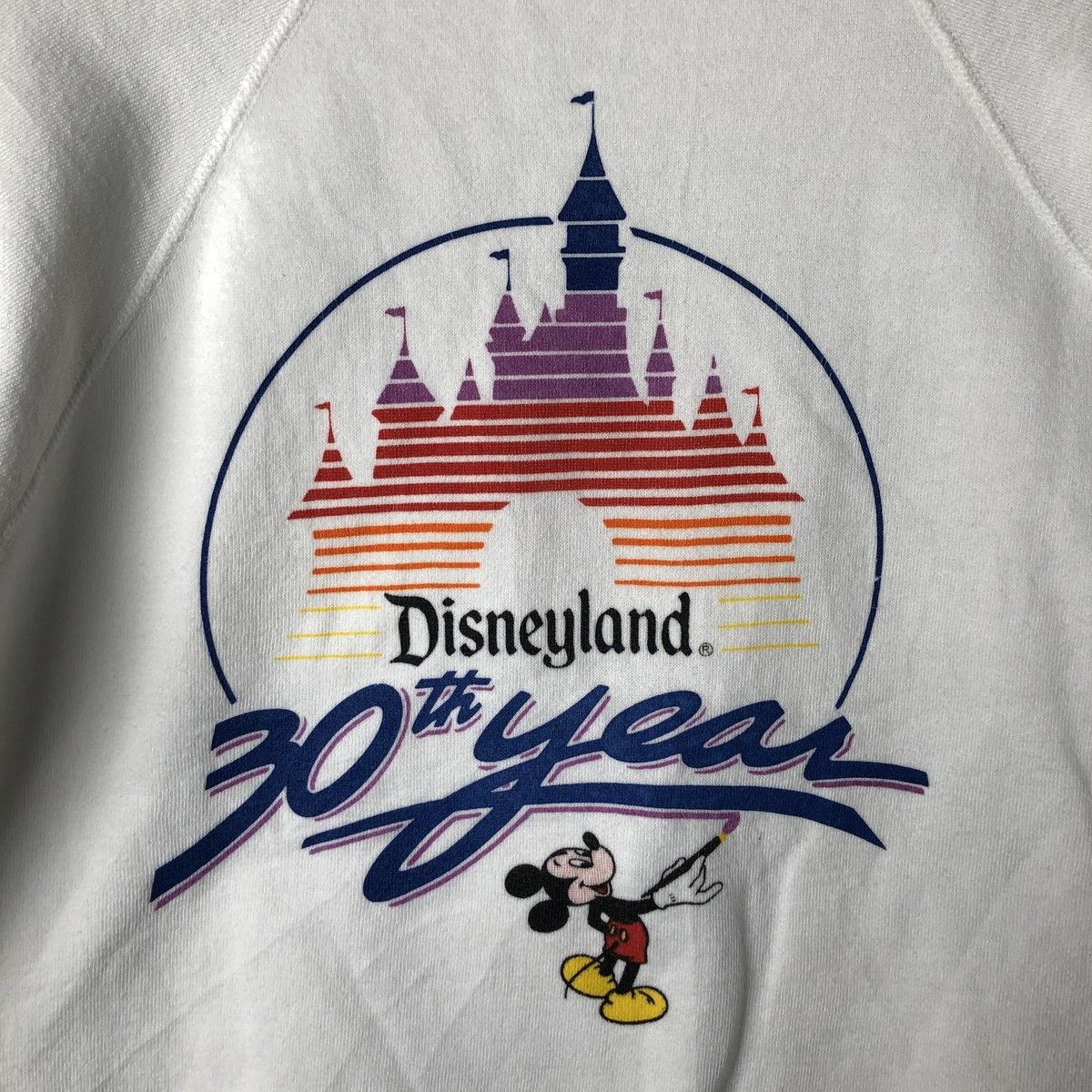 古着 80年代 ディズニー Disney DISNEYLAND ディズニーランド 30周年