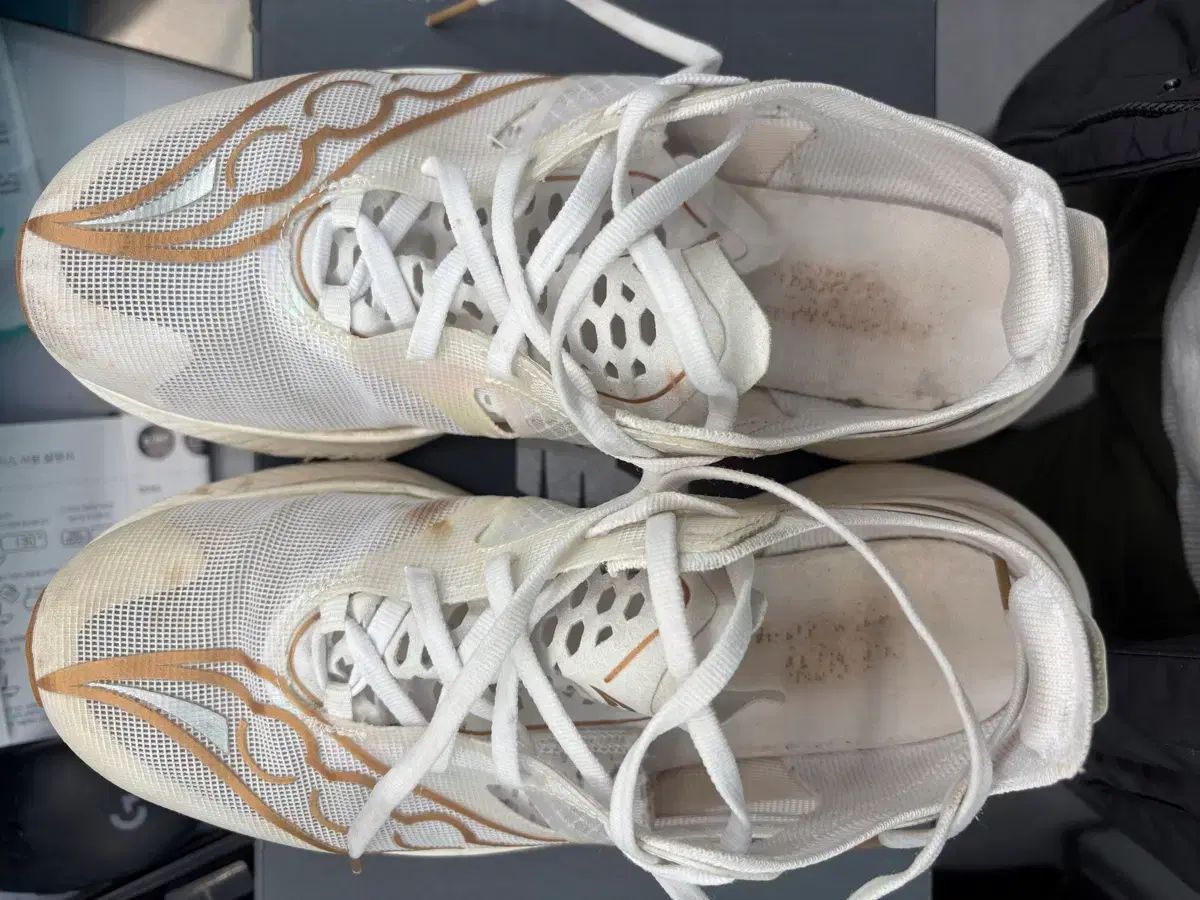 サッカニー エンドルフィン エリート 1 250