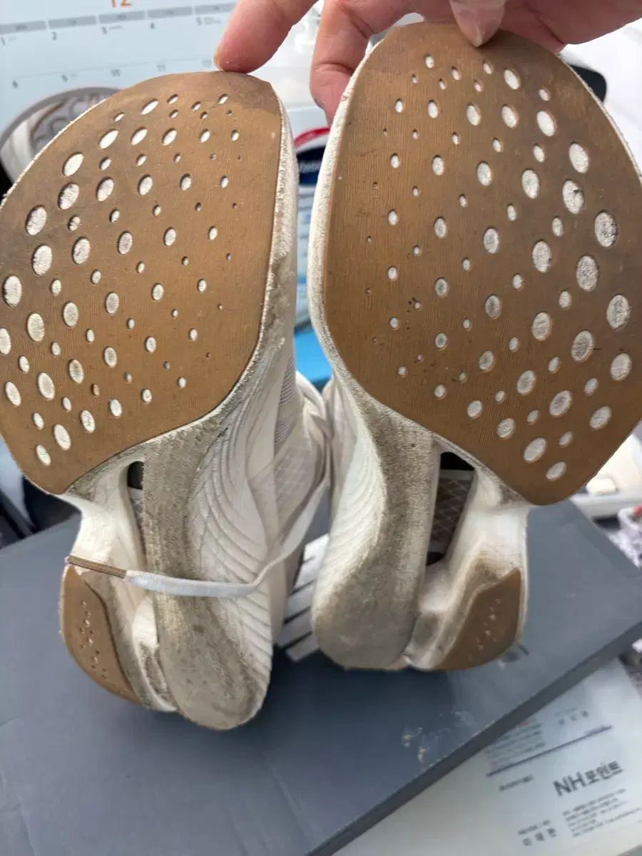  サッカニー エンドルフィン エリート 1 250 登山靴 トレッキングシューズ アウトドアシューズ