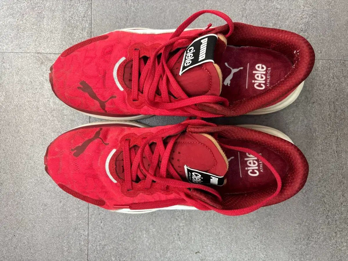 プーマ ディヴィエイト ナイトロラン2 Lエル 260