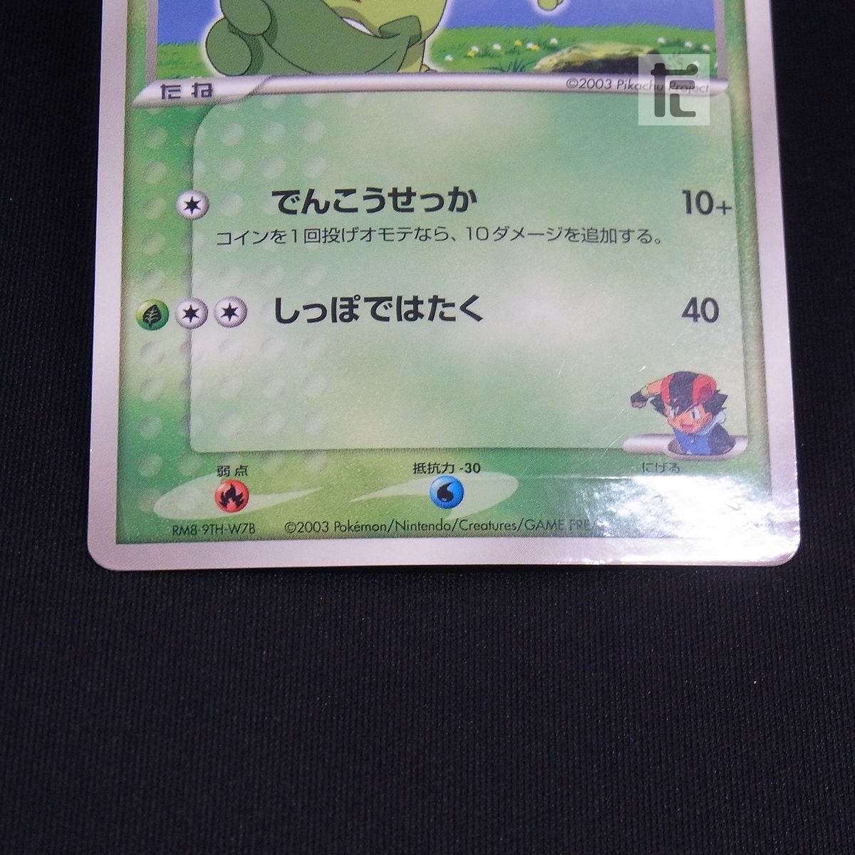 PROMO サトシのキモリ 036/ADV-P / TA24009 - メルカリ