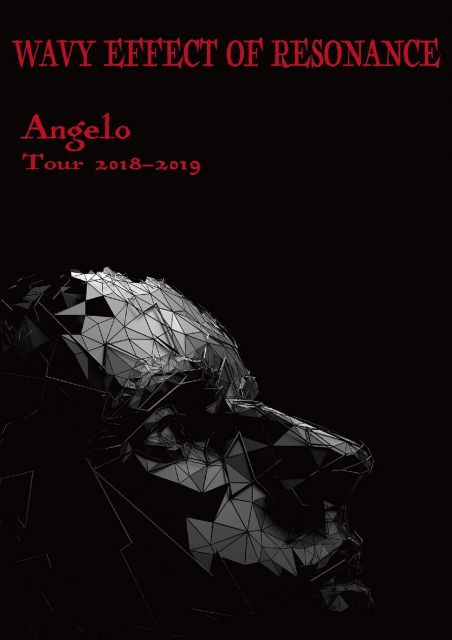 Angelo Tour 2018 2019 WAVY EFFECT OF RESONANCE DVD