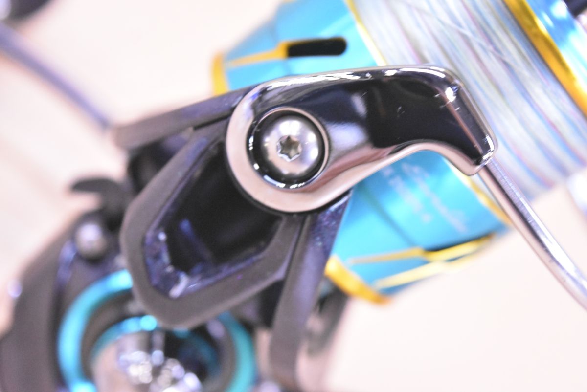 エギング アオリイカ