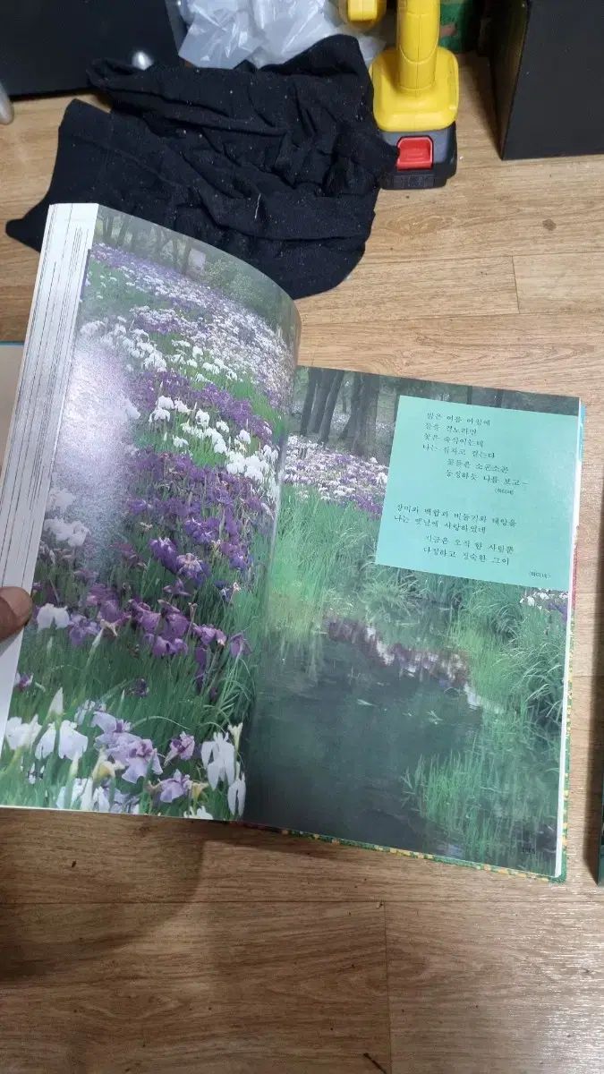 HYUNDAI 동양란 大図鑑 本 2巻 まとめ