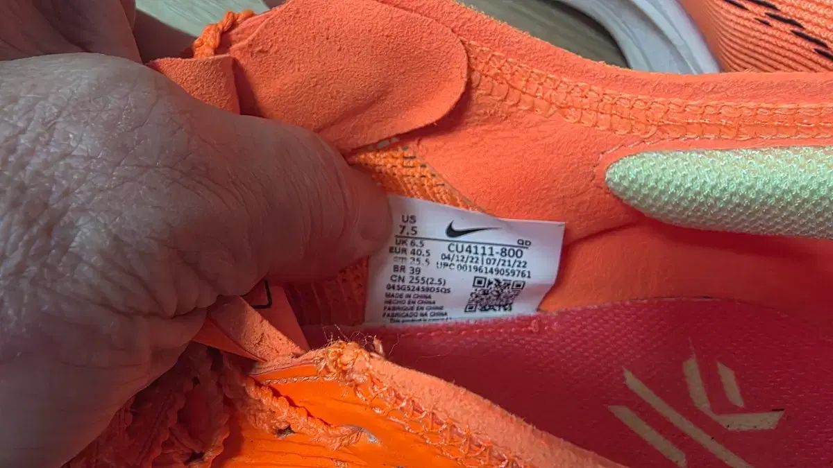 ベイフライ2 オレンジ色