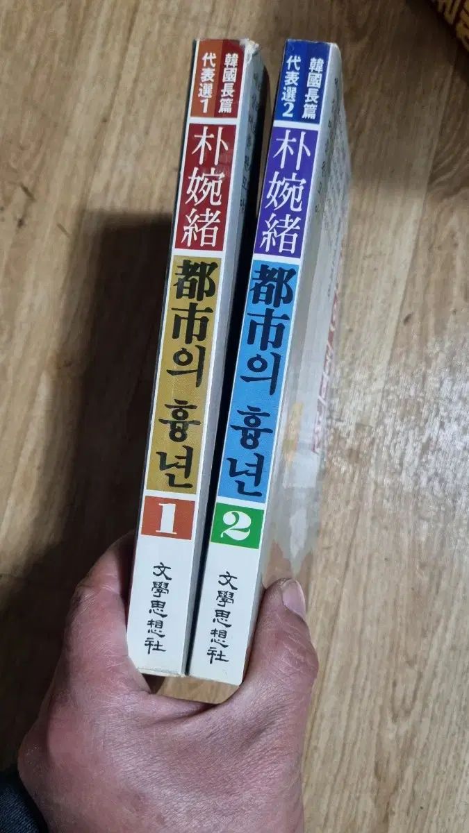 パク ワンソ 都市の凶年 セット 文学思想 1 2巻完結 古書
