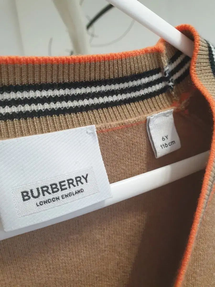 テディベア カシミア