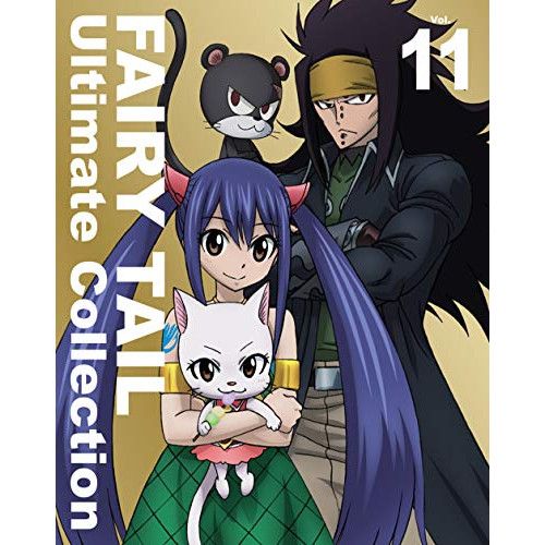 BD TVアニメ FAIRY TAIL Ultimate Collection Vol.11 Blu-ray