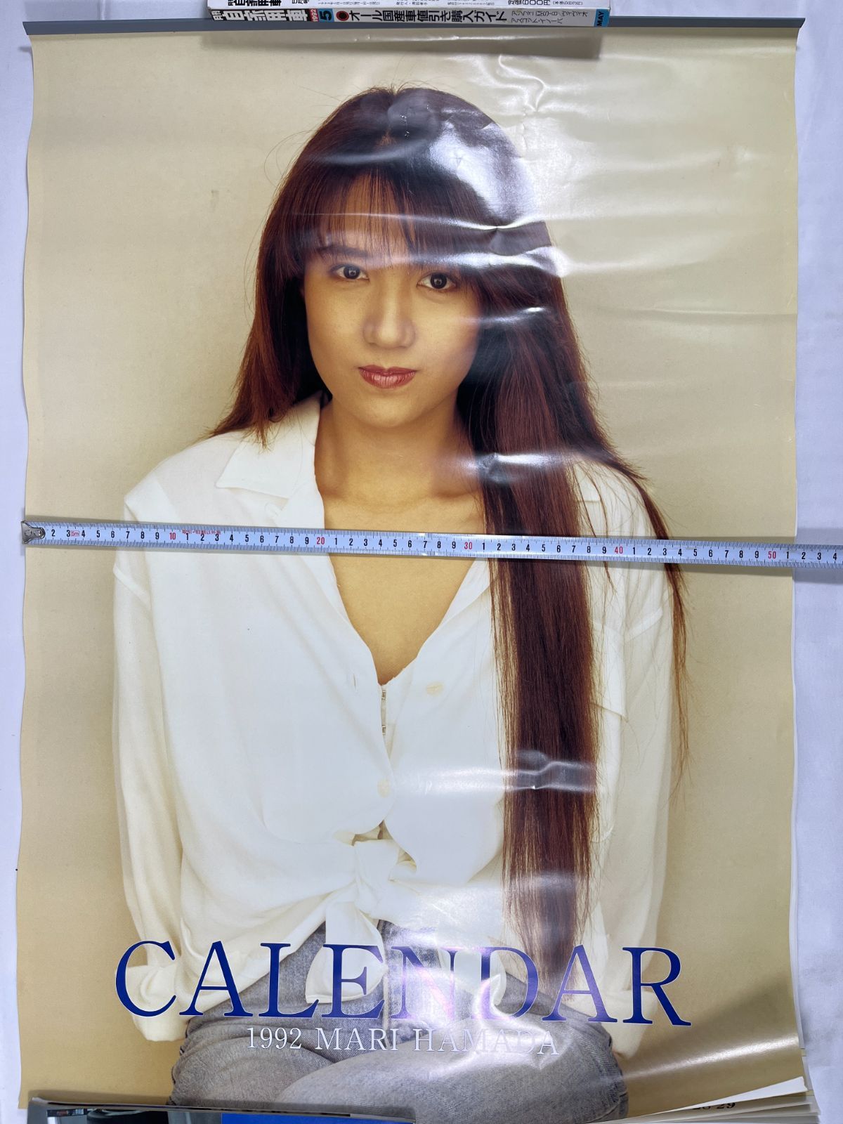 浜田麻里 HAMADA MARI 1992年 壁掛けカレンダー カレンダー シンガー