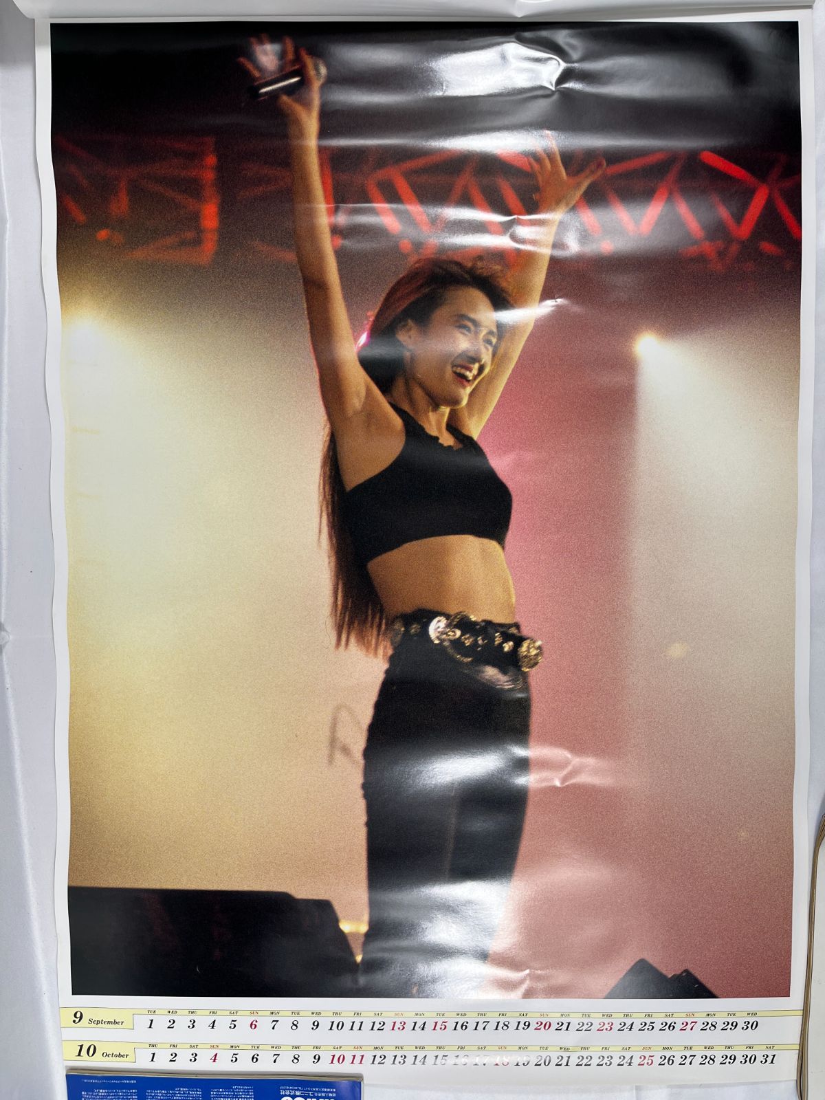 浜田麻里 HAMADA MARI 1992年 壁掛けカレンダー カレンダー シンガー